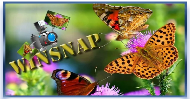 WinSnap 6.0.8 RePack (& Portable) by KpoJIuK