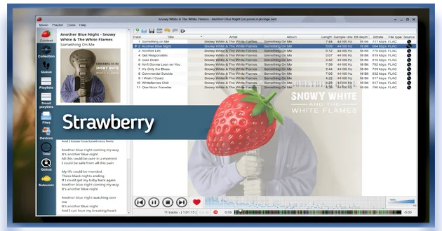 Strawberry 1.0.16