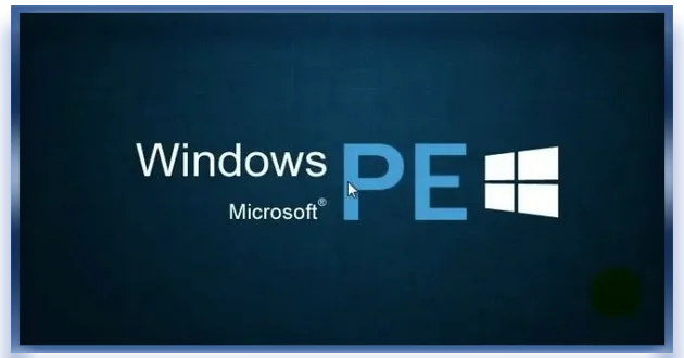 Windows 10-11 PE x64 by Xemom1 (2022)