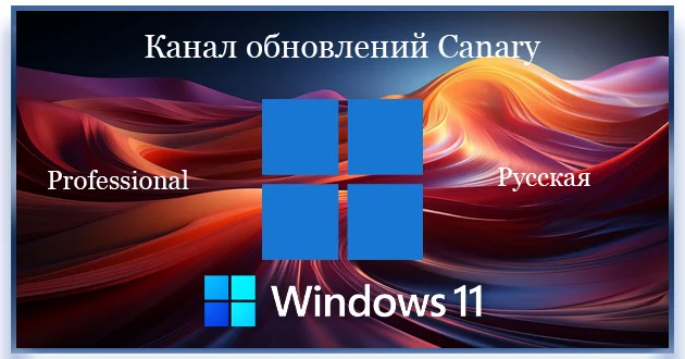 Windows 11 Pro Insider Preview Build 27909.1000 Canary